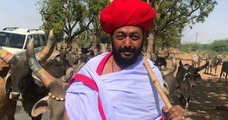 गायों की सेवा नहीं आई काम, राजस्थान के गाय मंत्री ओटाराम हारे