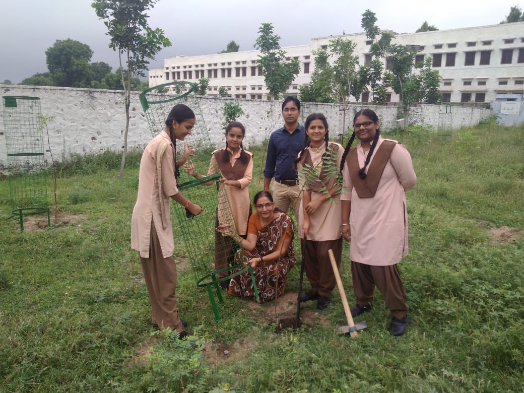 हिन्दी दिवस मनाया, स्वच्छता पखवाडे के तहत प्रतियोगिताओं का आयोजन हुआ