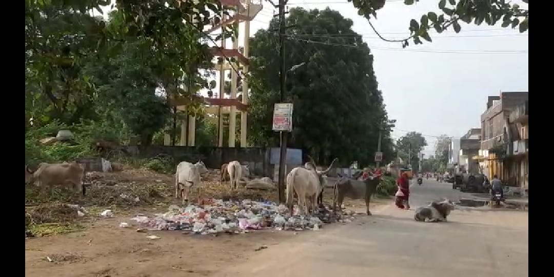 स्वच्छ भारत अभियान को आजादी के आंदोलन की तरह देश मे स्वच्छता का आंदोलन बनाना है