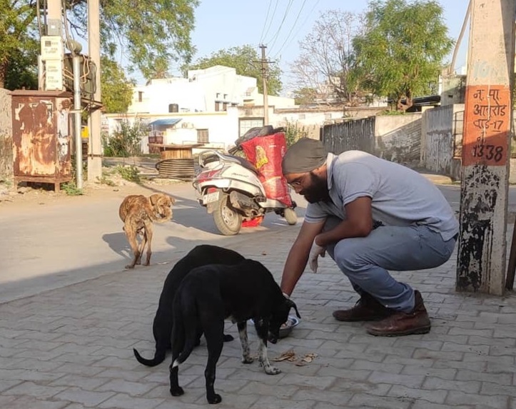 पीपल फॉर स्ट्रीट डॉग संस्था ने श्वानों के भोजन के लिए किए बेहतरीन प्रयास।