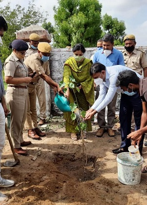 सिरोही जिला स्तरीय 71 वां वन महोत्सव समारोह पूर्वक मनाया