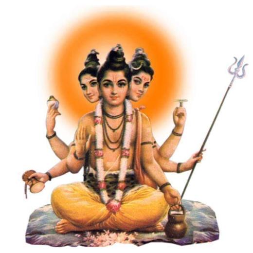 भगवान राम मानव सभ्यता का सबसे आदर्श चरित्र : लोढ़ा