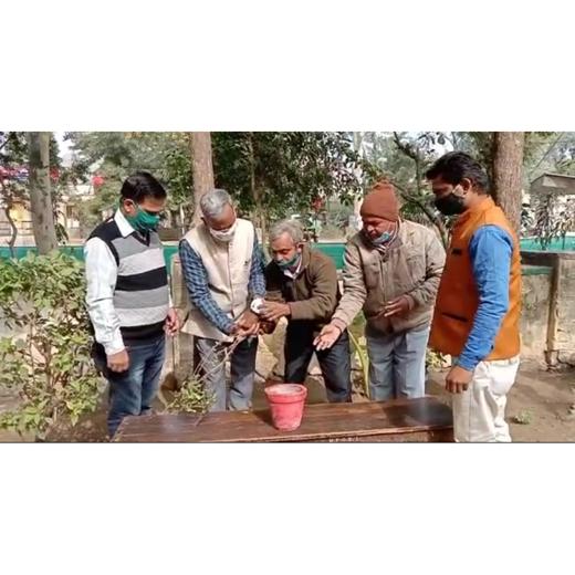 पर्यावरण जाग्रति का प्रतीक पौधा मिशन शिवगंज :- उप वन संरक्षण प्रकाश चन्द कुमावत