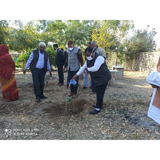 जिला एवं सेशन न्यायाधीश व प्रिंसिपल मजिस्ट्रेट किशोर न्याय बोर्ड सिरोही ने किया वृक्षारोपण