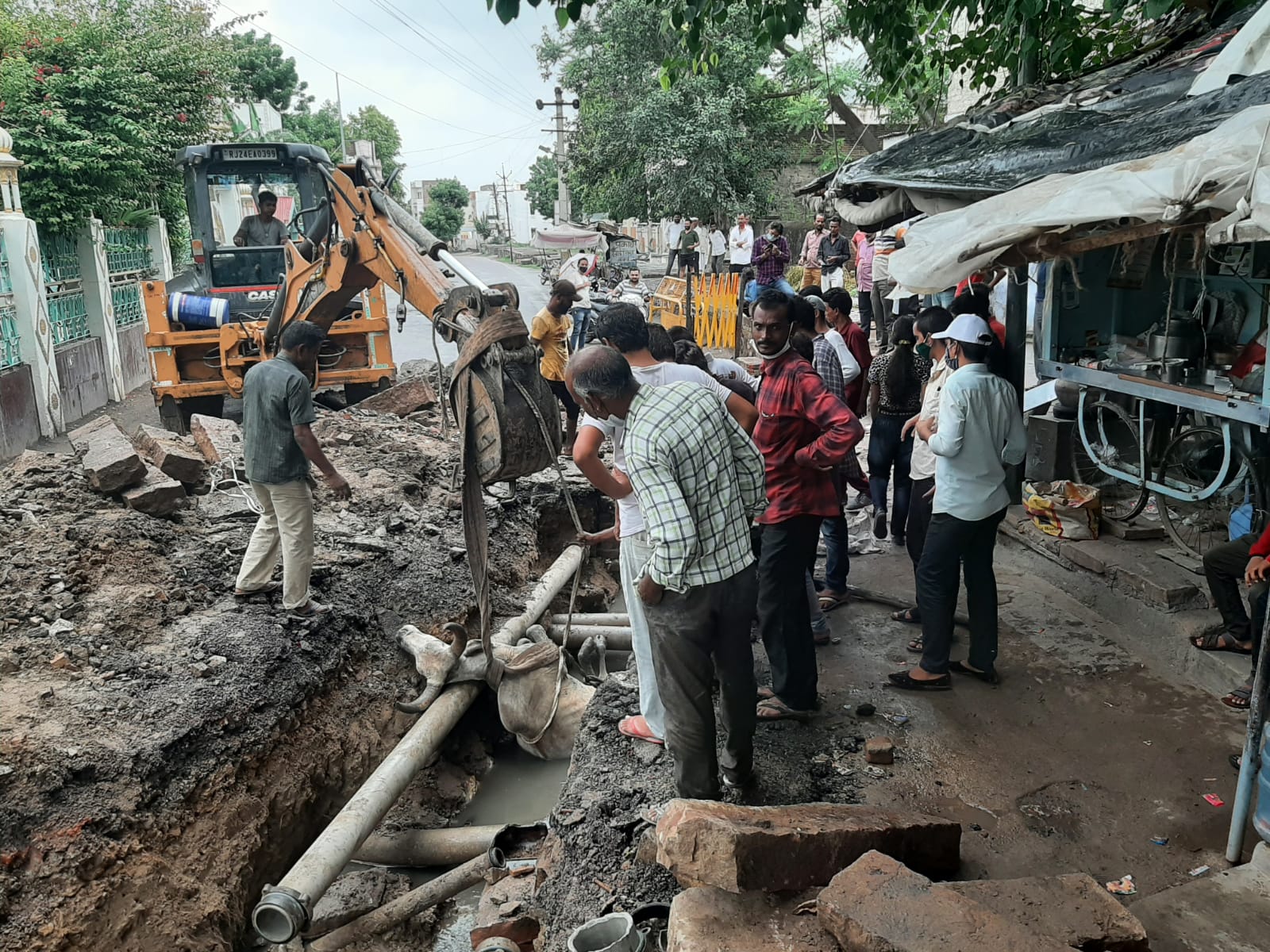 खड्डों में तब्दील सिरोही नगर परिषद क्षेत्र, खड्डों से इंसान को जोखिम, गोवंश गिरता खड्डे में