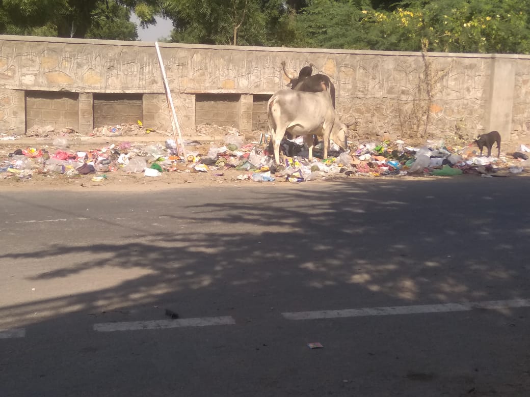 कब्रिस्तान की चहारदिवारी के बाहर लग रहा कचरे का अंबार