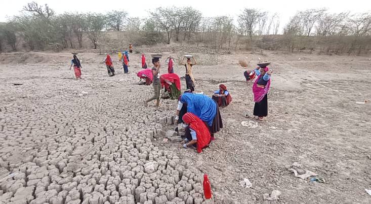 दूधिया ओर निडोरा तालाब के बबूल ओर कटीली झाड़ियो को हटवाएगी जिला जल बिरादरी