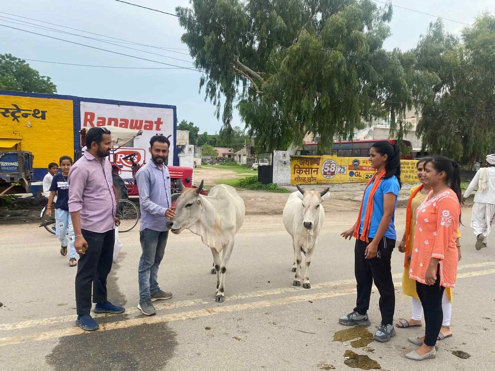 गावो विश्वस्य मातरम् की भाव से किया गोसेवा कार्य