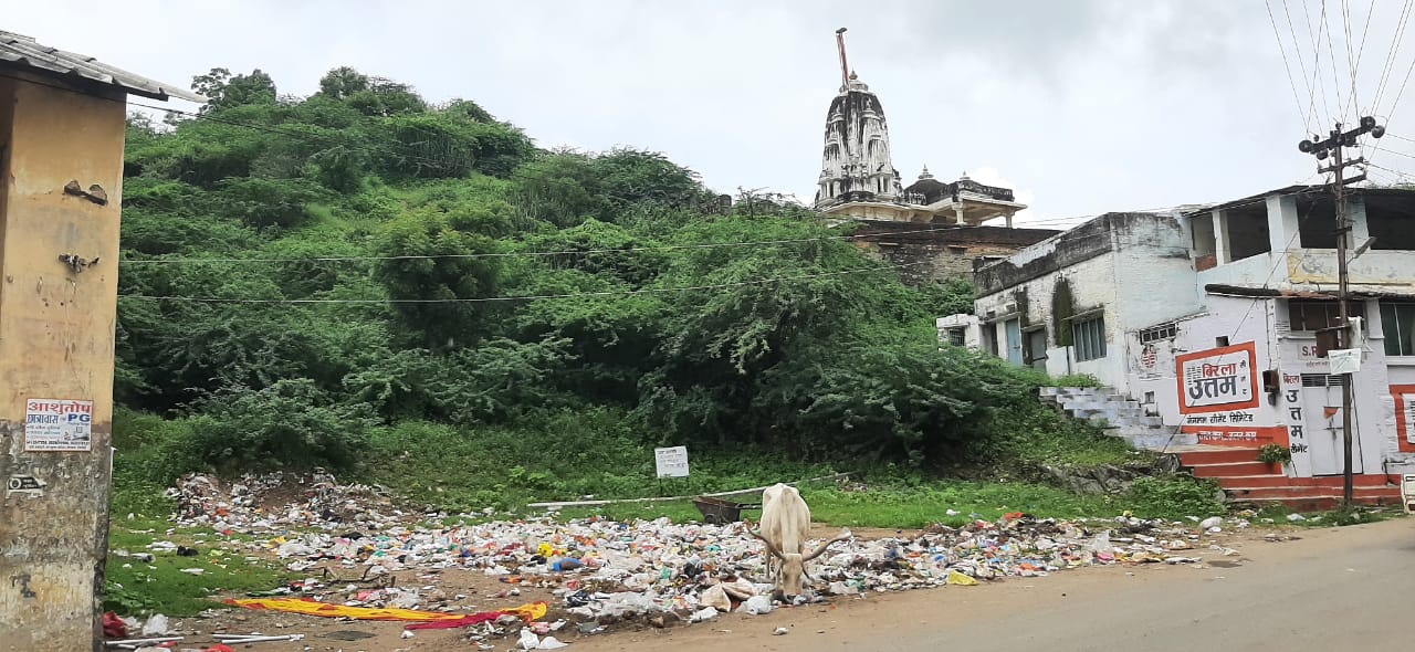 फिर उड़ रही है पालड़ी एम में जिला कलेक्टर के लम्पी वायरस की रोकथाम निर्देशों की अवज्ञा