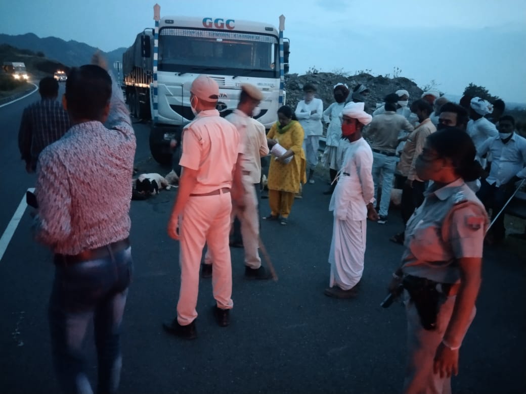 फोरलेन टर्मिनल में बेकाबू ट्रोले ने किया मौत का तांडव 60 से ज्यादा भेड़ बकरी काल कवलित। , सिरोहीवाले, सिरोही समाचार