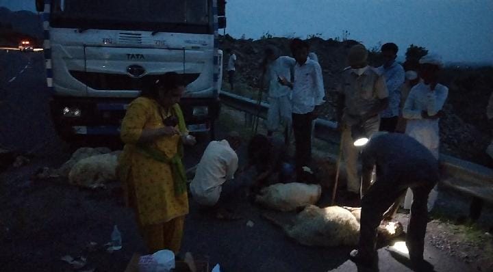 फोरलेन टर्मिनल में बेकाबू ट्रोले ने किया मौत का तांडव 60 से ज्यादा भेड़ बकरी काल कवलित। , सिरोहीवाले, सिरोही समाचार