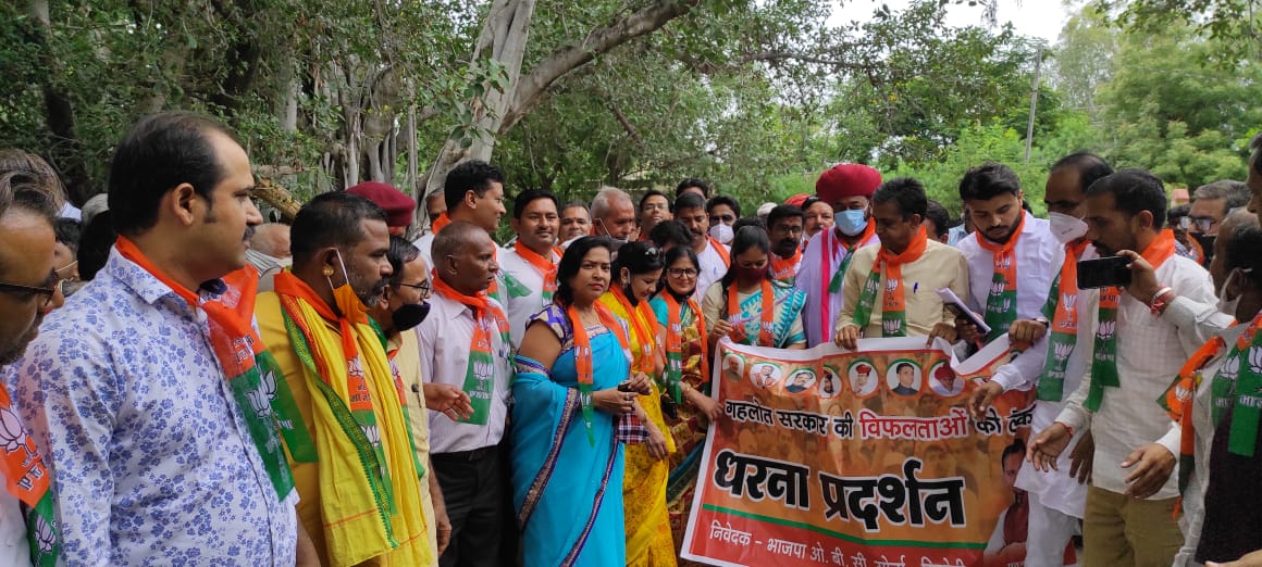 भाजपा ओबीसी मोर्चा ने कांग्रेस सरकार की जन विरोधी नीतियों के खिलाफ किया प्रदर्शन, राज्यपाल के नाम जिला कलेक्टर को सौंपा ज्ञापन, सिरोहीवाले, सिरोही समाचार