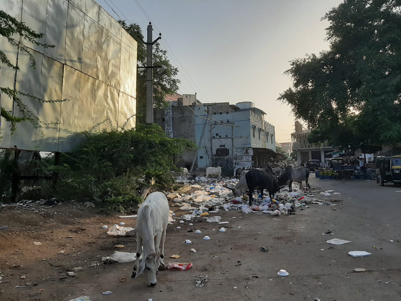 सिरोही नगर परिषद में सफाई व्यवस्था चरमराई, कचरा स्टैंड ओर सर्वत्र पॉलिथिन कि भरमार, जिला मुख्यालय में नारकीय वातावरण।, सिरोहीवाले, सिरोही समाचार