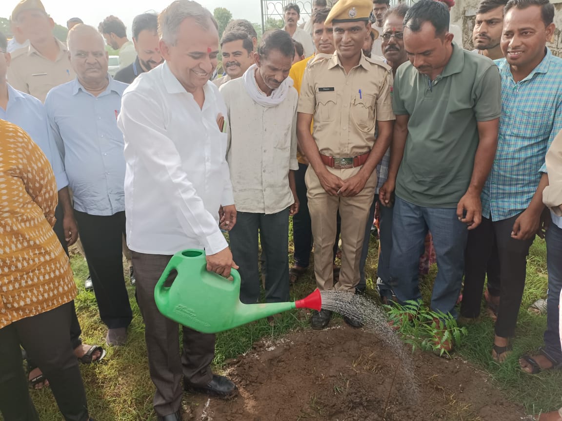 ग्राम खाम्बल में हुआ ‘सघन वृक्षारोपण कार्यक्रम वर्ष 2022‘, सिरोहीवाले, सिरोही समाचार