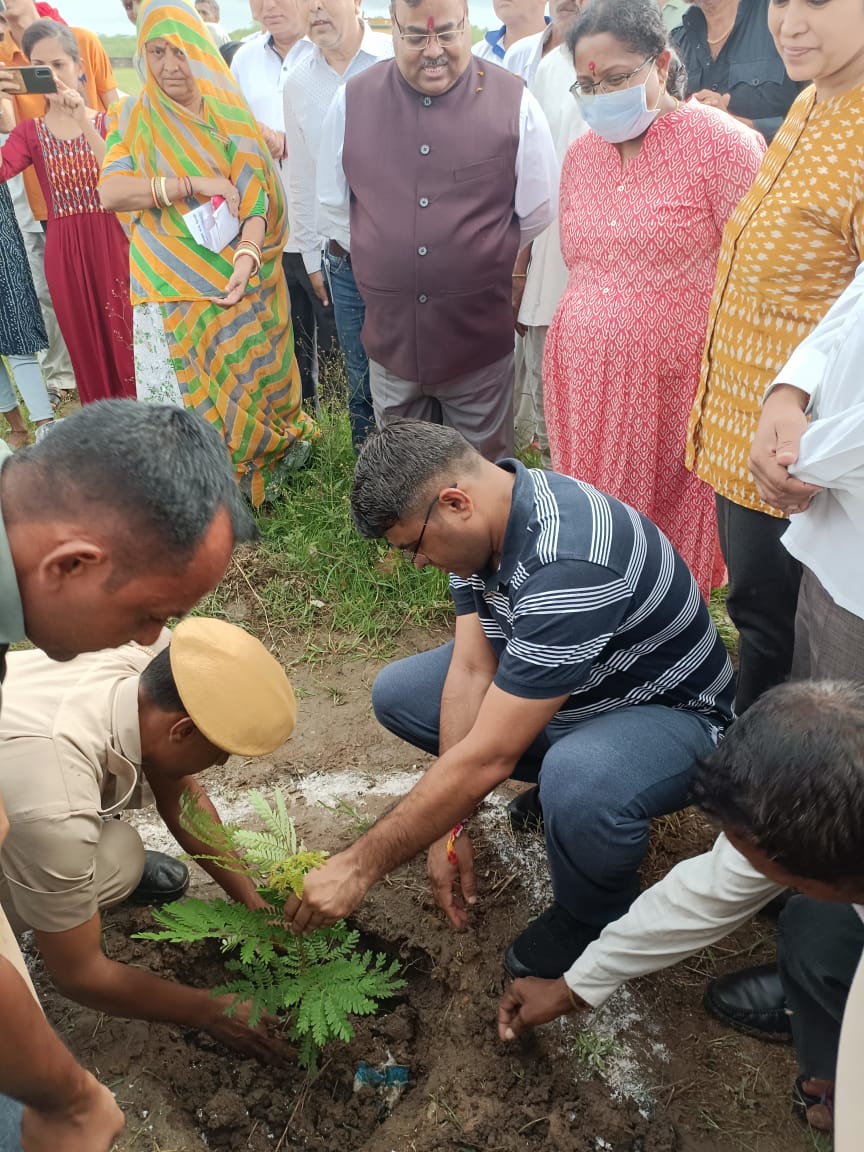 ग्राम खाम्बल में हुआ ‘सघन वृक्षारोपण कार्यक्रम वर्ष 2022‘, सिरोहीवाले, सिरोही समाचार