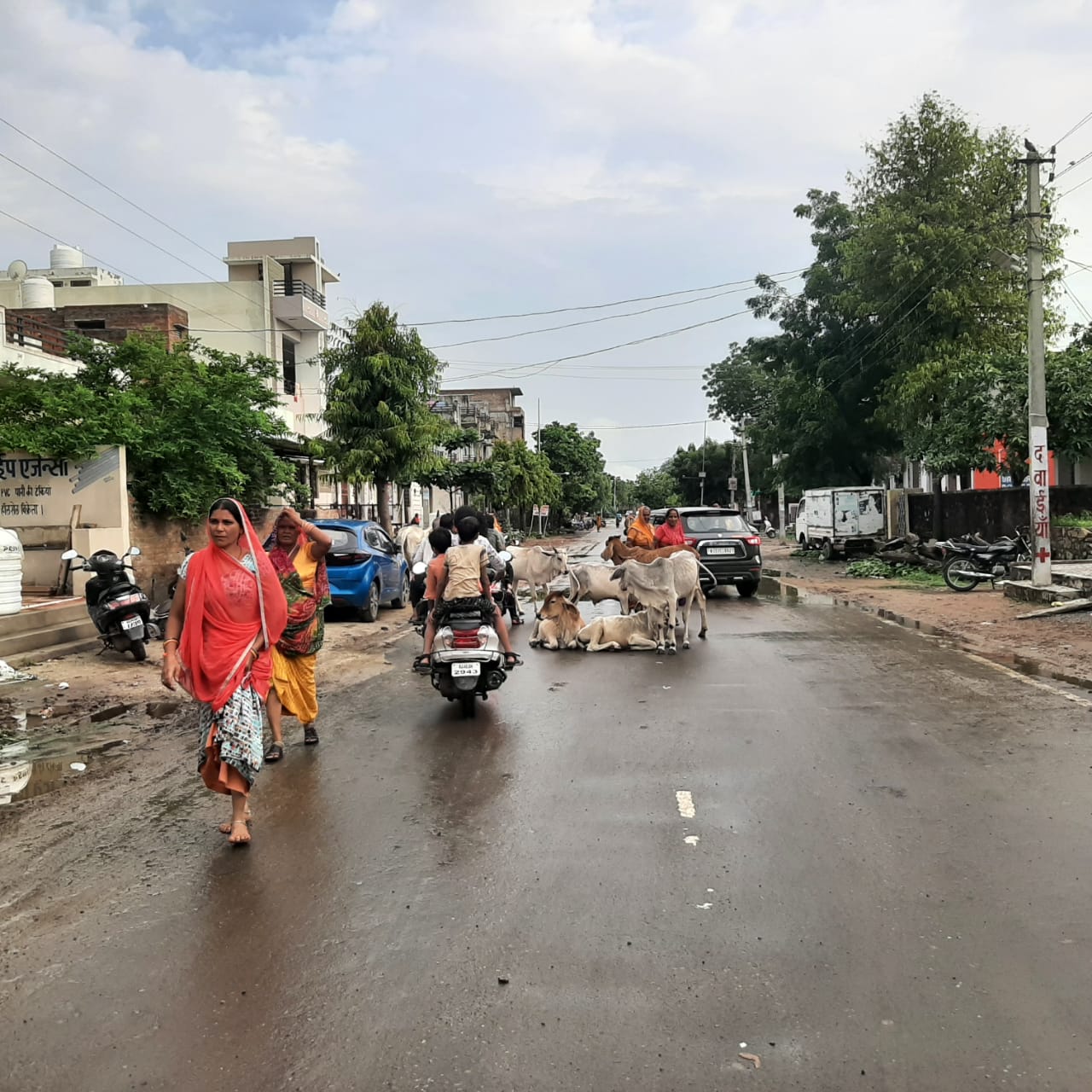 सावन के आखरी सोमवार की बारिश ने बदली देंवनगरी की फिजा, मौसम बना रमणीय, खड्डों में है नगर की सड़कें।, सिरोहीवाले, सिरोही समाचार