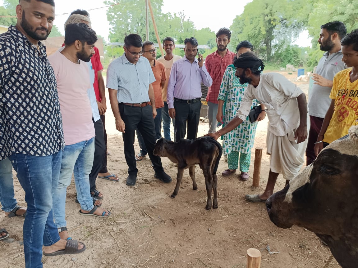 जिला कलक्टर डाॅ भंवर लाल ने शिवगंज क्षेत्र की गौशाला का निरीक्षण किया।, सिरोहीवाले, सिरोही समाचार